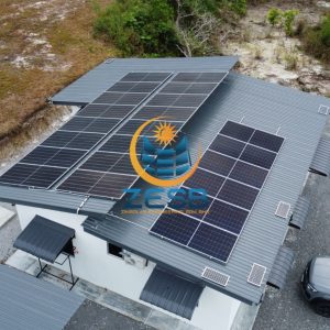 WhatsApp Image 2026-03-11 at 12.39.22 PM